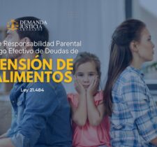 Ley 21.484 - Ley de Pension de Alimentos en Chile